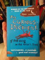 The Curious Incident of the Dog in the Night Time cover